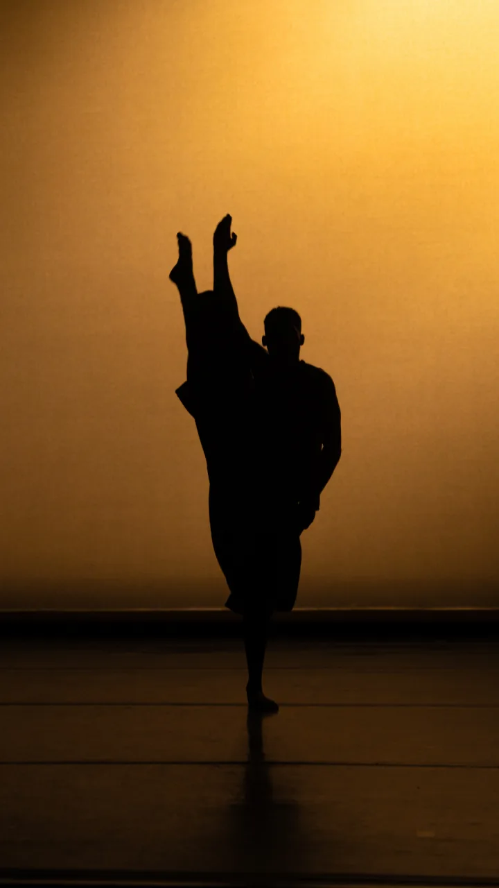 EVIDENCE Dance — vertical social still from a stage performance
